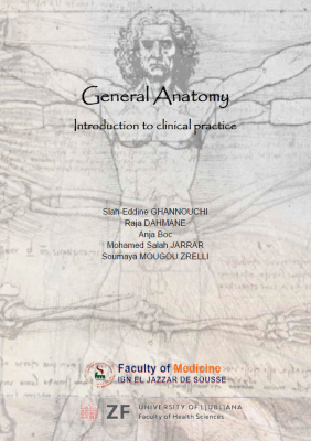GENERAL anatomy: introduction to clinical practice