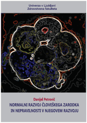 normalni-razvoj-cloveskega-zarodka