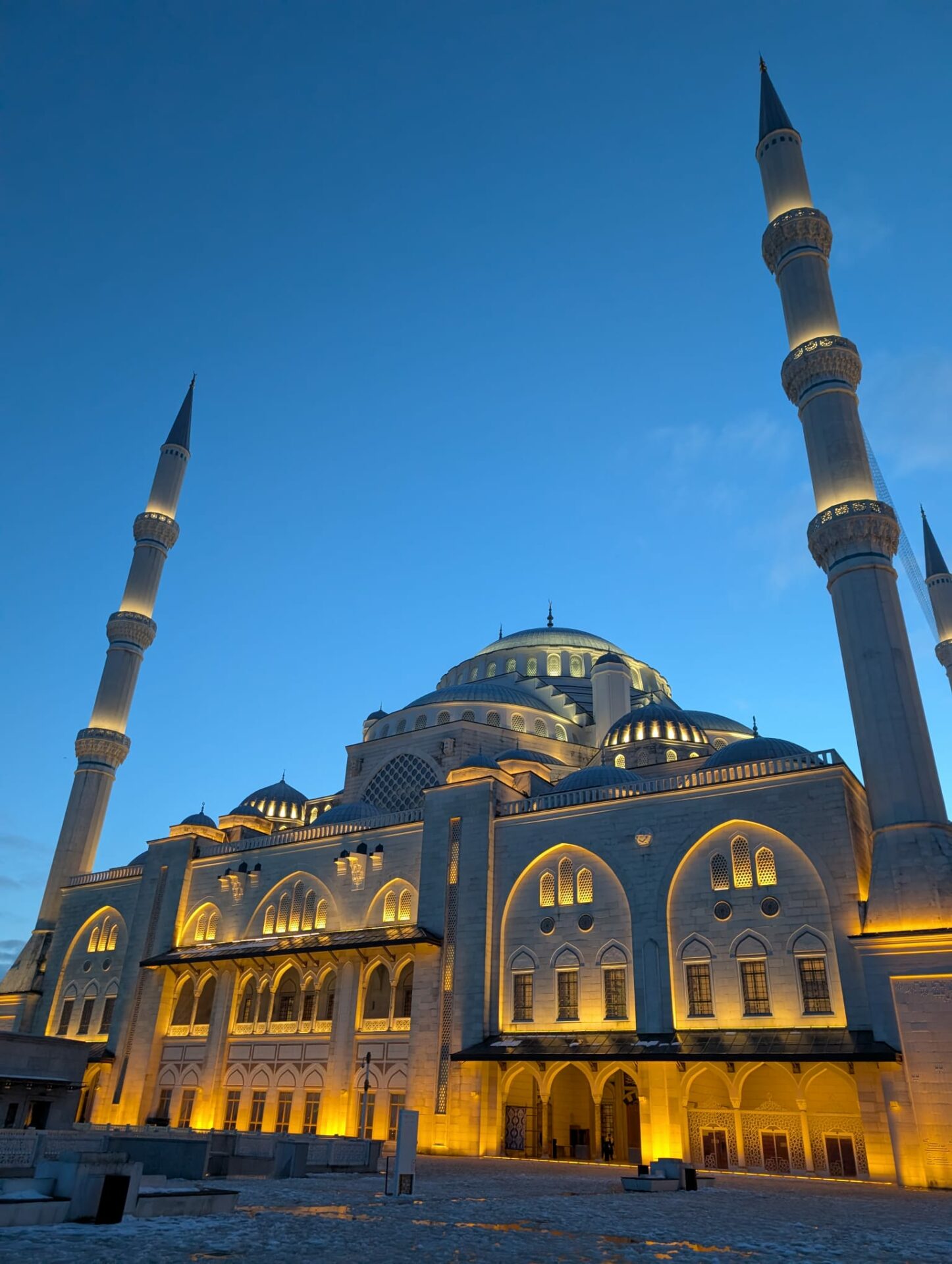 whatsapp-image-2026-02-02-at-01-06-19