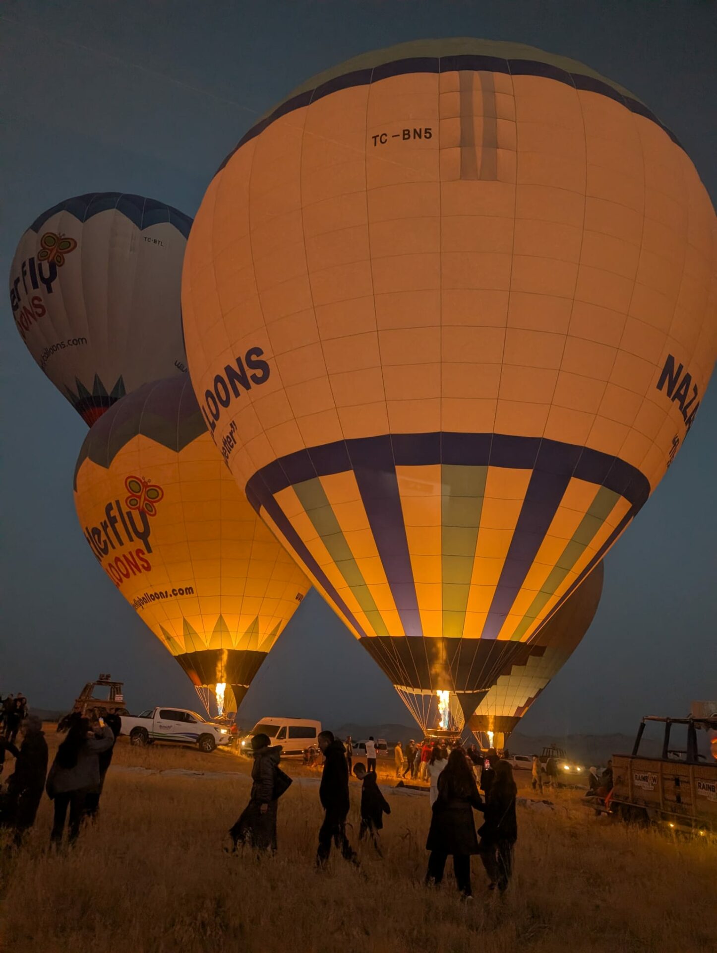 whatsapp-image-2026-02-02-at-01-14-23-2